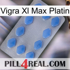 Vigra Xl Max Platinum 21